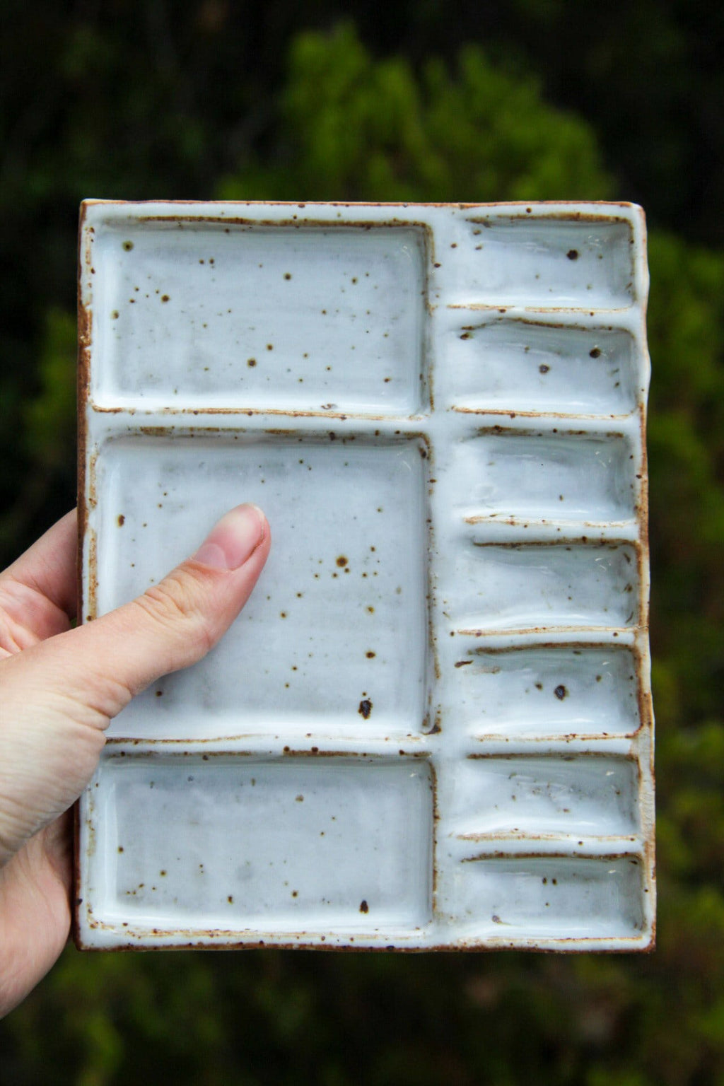 Hand holding small rectangular paint palette against green background