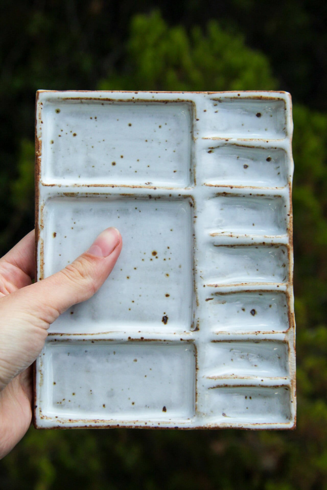Hand holding small rectangular paint palette against green background